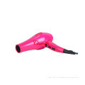 220v Negative Ion High Power Hair Dryer With Johnson Motor , 2200 Watt